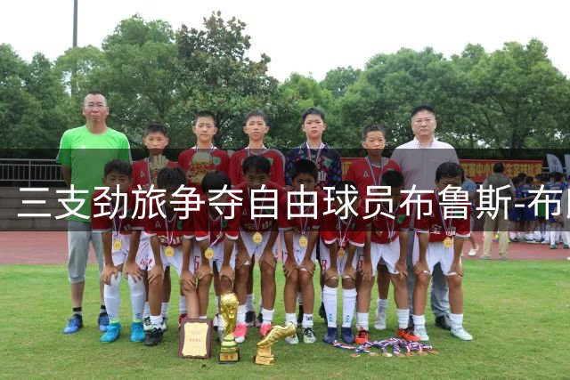 三支劲旅争夺自由球员布鲁斯-布朗